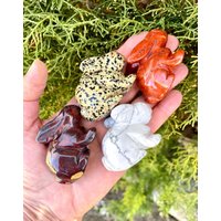 Crystal Häschen Kaninchen, Wahl, Tigereisen, Dalmatiner Jaspis, Howlite, Roter Naturstein Edelstein Schnitzerei, Ostern, Geist Tier Crystal Häschen Kaninchen, Wahl, Tigereisen, Dalmatiner Jaspis, Howlite, Roter Naturstein Edelstein Schnitzerei, Ostern, Geist Tier von GivingEarthMinerals