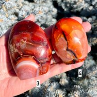 Karneol Freeform, Wahl Von 4, Druzy Quarz Adern, Roter Naturstein, Kristall, Handgefertigt, Wurzelchakra Spirituelles Geschenk Karneol Freeform, Wahl Von 4, Druzy Quarz Adern, Roter Naturstein, Kristall, Handgefertigt, Wurzelchakra Spirituelles Geschenk von GivingEarthMinerals