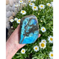 Labradorit Freeform, 4, 6 "Naturstein Edelstein Auffälliger Kristall, Poliert, Madagaskar." Labradorit Freeform, 4, 6 "Naturstein Edelstein Auffälliger Kristall, Poliert, Madagaskar." von GivingEarthMinerals