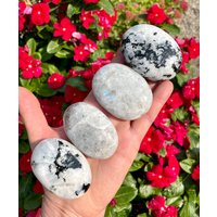 Regenbogen Mondstein Wahl, Crystal Palm Stones, Naturstein, Spirituelle Geschenke Regenbogen Mondstein Wahl, Crystal Palm Stones, Naturstein, Spirituelle Geschenke von GivingEarthMinerals