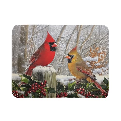 Abtropfmatte mit Wintervögeln, rote Beeren, Abtropfmatte, Mikrofaser, saugfähig, für Küche, Theke, Kaffeebar, 45,7 x 61 cm von Giwawa