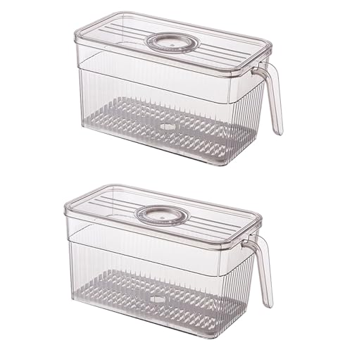 Giwnhvx 2 x Kühlschrank-Aufbewahrungsbox, Zeitmessung, Frischhaltedose, mit Griff, transparentes Material, Fotofarbe von Giwnhvx