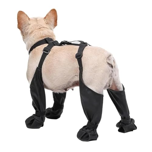 Giwnhvx Hundeschuhe DogPaw Protektoren mit Hosenträgern rutschfeste Hunde Regen Stiefel für Winter Schnee Outdoor S Giwnhvx Hundeschuhe DogPaw Protektoren mit Hosenträgern rutschfeste Hunde Regen Stiefel für Winter Schnee Outdoor S von Giwnhvx