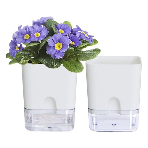 Giwnhvx Pflanztöpfe für den Innenbereich, 10,7 cm, selbstbewässerndes Blumentopf-Set für den Innenbereich, violette Töpfe, Pflanzgefäß-Set mit sichtbarem Reservoir, 2 Stück Giwnhvx Pflanztöpfe für den Innenbereich, 10,7 cm, selbstbewässerndes Blumentopf-Set für den Innenbereich, violette Töpfe, Pflanzgefäß-Set mit sichtbarem Reservoir, 2 Stück von Giwnhvx