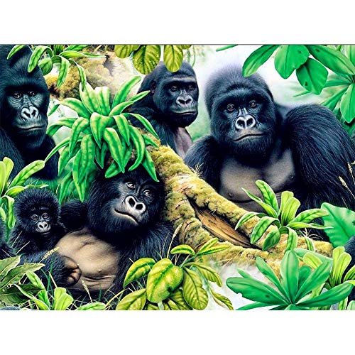 5D Diamond Painting Full Set, Gorilla Familie DIY Diamant Painting Bilder , Diamant Malen Kits, Groß 5D Diamant Malerei Kreuzstich Diamond Dekoration für Wand Dekorationen, Round Drill 50x70cm von Giyuco