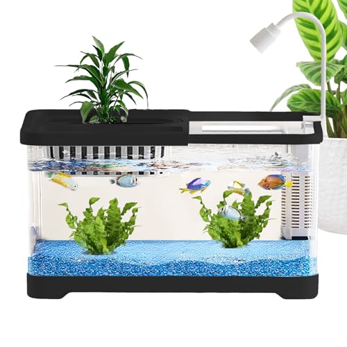 GjnjfdF Betta Aquarium, Desktop Betta-Aquarium, Einfache Reinigung Dekoratives Heimdekor Für Zuhause Büro Wohnheim Schreibtisch Haustierliebhaber von GjnjfdF