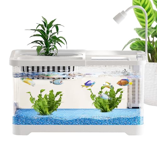 GjnjfdF Kampffisch Aquarium - Desktop Betta-Aquarium - Einfache Reinigung Dekoratives Heimdekor Für Zuhause Büro Wohnheim Schreibtisch Haustierliebhaber von GjnjfdF