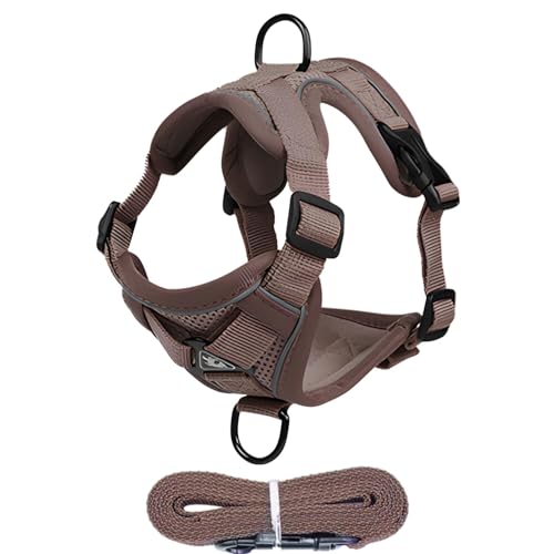 GjnjfdF Katzengeschirr, ausbruchsicher, Geschirr für Katzen, Westengeschirr für Katzen, atmungsaktiv | Set Geschirr und Leine für Katzen, für Kätzchen und Welpen, reflektierendes Geschirr für GjnjfdF Katzengeschirr, ausbruchsicher, Geschirr für Katzen, Westengeschirr für Katzen, atmungsaktiv | Set Geschirr und Leine für Katzen, für Kätzchen und Welpen, reflektierendes Geschirr für von GjnjfdF