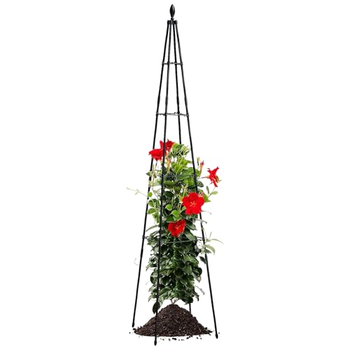 GjnjfdF Rankgitter Für Kübelpflanzen,Metall Rankhilfe Für Gartenpflanzen - Pflanzengitter Für Blumen Outdoor Rankgestell Zimmerpflanzen Efeu Terrasse Rasen Garten GjnjfdF Rankgitter Für Kübelpflanzen,Metall Rankhilfe Für Gartenpflanzen - Pflanzengitter Für Blumen Outdoor Rankgestell Zimmerpflanzen Efeu Terrasse Rasen Garten von GjnjfdF