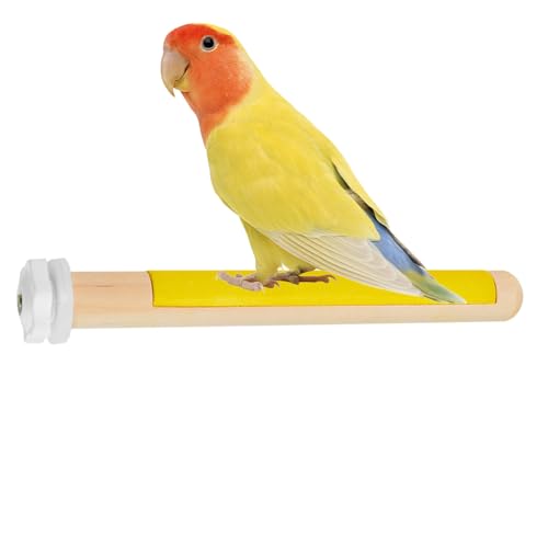GjnjfdF Vogel Sitzstange, Käfigzubehör Krallenpflegestab Für Vogelkrallen, Kletter Und Stehspielzeug Wellensittich Krallenpflegegabel Mit Stabilem Standfuß Für Unzertrennliche Und Finken von GjnjfdF