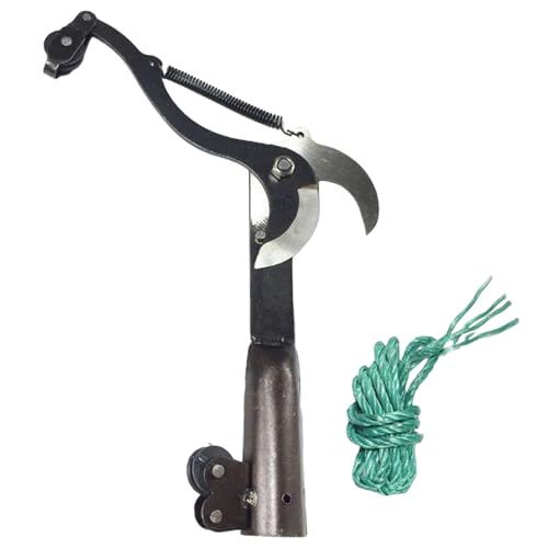 Gkumgwo Hand Pruners - Robuste Gartenschere Mit Ergonomischem Griff,Bonsai-Pflegewerkzeug Mit Exakter Schnittführung & Ergonomischem Griff Für Gartenbau, Obstbaumpflege Und Veredelung Gkumgwo Hand Pruners - Robuste Gartenschere Mit Ergonomischem Griff,Bonsai-Pflegewerkzeug Mit Exakter Schnittführung & Ergonomischem Griff Für Gartenbau, Obstbaumpflege Und Veredelung von Gkumgwo