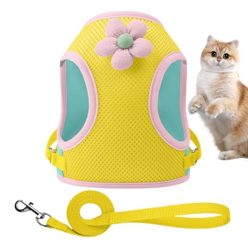 Gkumgwo Hundegeschirr Mit Halsband | Reflektierendes Geschirr Mit Tragegurten,Atmungsaktives Zubehör Niedliches Design Für Spaziergänge Park Outdoor Nachts Täglich Reisen Wandern von Gkumgwo