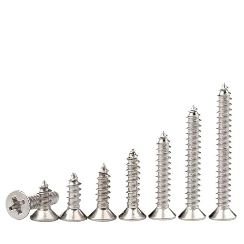 Gladiaond 10/20/50 Stück M1.4 M1.7 M2 M2.3 M2.6 M3 M4 M5 M6 Länge 3-10 mm 304 Edelstahl Kreuzschlitz Senkkopf Blechschrauben Holzschraube(3mm,M1 x 50pcs) von Gladiaond