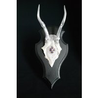Harlekin - Silberne Reh-Trophäe Mit Kristallen & Farbakzent | Roe Deer Trophy Modern Glam Wall Art Silver Decor One Of A Kind Harlekin - Silberne Reh-Trophäe Mit Kristallen & Farbakzent | Roe Deer Trophy Modern Glam Wall Art Silver Decor One Of A Kind von GlamourTrophy