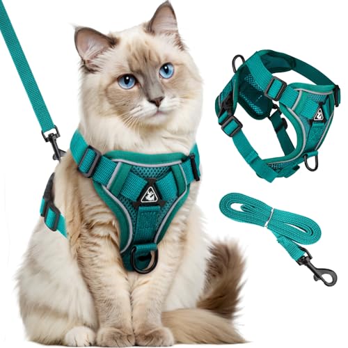 GlasFlength Katzengeschirr mit Leine Ausbruchsicher, Katzenleine mit Geschirr für Katzen Verstellbar Katzen Geschirr Set Cat Harness Softgeschirr für Katze mit Reflektierenden Streifen (Grau-S) von GlasFlength