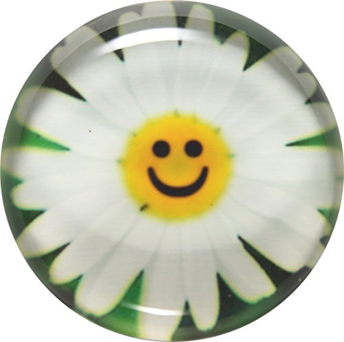 GlasXpert Glasmagnet Kühlschrankmagnet Magnet Smiley Margerite Glasmagneten von GlasXpert