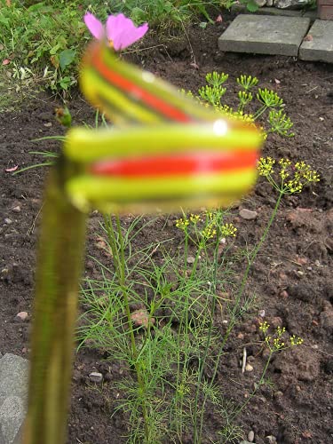 Glasfiguren Bastick Orchideenstab mit Streifen Gelb Orange - Blumenstab Rankhilfe Blütenstütze - V 49 Deko Garten Blumen Glasfiguren Bastick Orchideenstab mit Streifen Gelb Orange - Blumenstab Rankhilfe Blütenstütze - V 49 Deko Garten Blumen von basticks