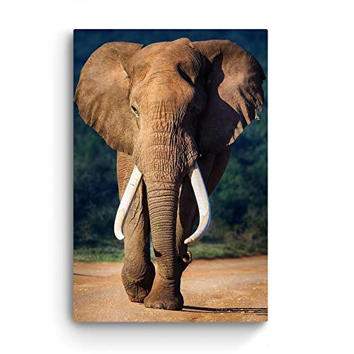 Startonight Glasbild Elefant, Bild auf Acrylglas Muster Modern Dekoration Fertig zum Aufhängen 60 x 60 cm von Glass Wall Art