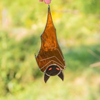 Halloween Buntglas Fensterbehänge Fledermaus Haus Individuelle Geschenk Glasmalerei Suncatcher Kunstwerk von GlassArtStories