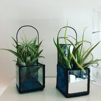 Diese Süße Gespiegelte Box Kann Eine Luftpflanze Oder Alles Andere, Was Sie Möchten, Aufnehmen. Es An Die Wand Gehängt Werden Auf Einem Regal Sitzen von GlassTransformed