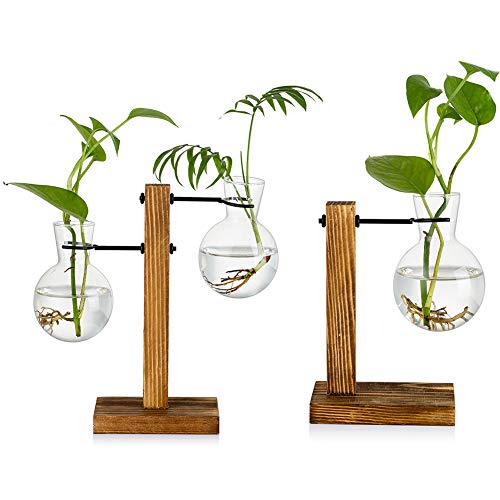 2 Stück Glasvasen mit Holzständer, kreative einzelne Herz-Glasvasen, moderne Pflanzenanzuchtstation, Schreibtisch-Pflanzgefäß für Zuhause, Garten, Büro, Dekoration (3-flammige Vasen) von Glasseam