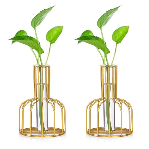 2 Stück Mini Vasen Set Glas Vase Gold Kleine Vasen Für Tischdeko Blumenvase Modern Bud Hydroponic Glasvase Reagenzgläser Für Blumen Hochzeit Wohnzimmer Deko Tablett Tisch Bad Dekoration von Glasseam