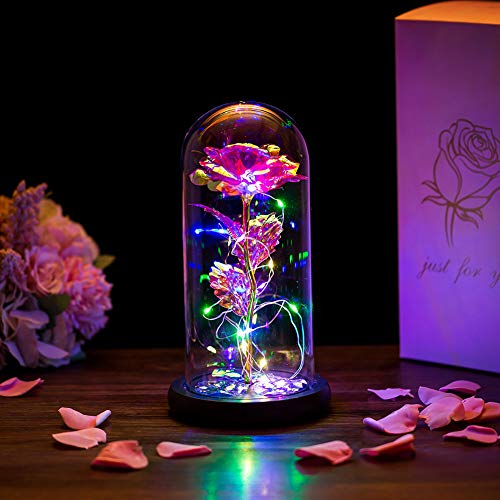 Die Schöne Und Das Biest Rose In Glaskuppel LED-Lichter Kristallrose Blumen Geschenk Zum Geburtstag Jubiläum Valentinstag Hochzeit Freundin Frau Frauen von Glasseam