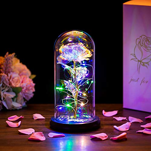 Die Schöne Und Das Biest Rose In Glaskuppel LED-Lichter Kristallrose Blumen Geschenk Zum Geburtstag Jubiläum Valentinstag Hochzeit Freundin Frau Frauen von Glasseam
