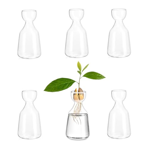 Glasseam Avocado Glas Knospenvase, Eichelzwiebel-Zwangsvase, 6er Set, niedliche klare kleine Vasen für Tafelaufsätze, Hydrokultur-Pflanzenvermehrungsvase für Blumen, dekorative Blumenvase für Tisch, von Glasseam