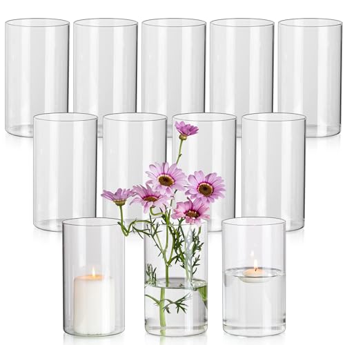 Glasseam Blumenvase Glas Vasen, 12 x Klar Kleine Vase Set, 15 x 8,5 cm Zylinder Runde Glasvase Schöne Blumenvasen für Tulpen, Minimalistische Dekovasen Kerzenhalter für Hochzeit Tischdeko Dekohaus von Glasseam