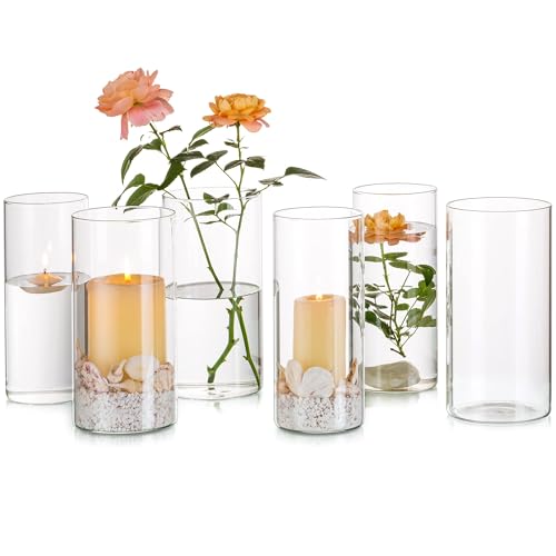 Glasseam Blumenvase Modern Glasvase, Deko Vase Glas Zylinder Vasen Set 6, 20cm Flower Vase Durchsichtig für Hochzeit Tischdeko, Kerzenhalter Tischvase Glass Vase für Tulpen Tischdeko Esstisch von Glasseam