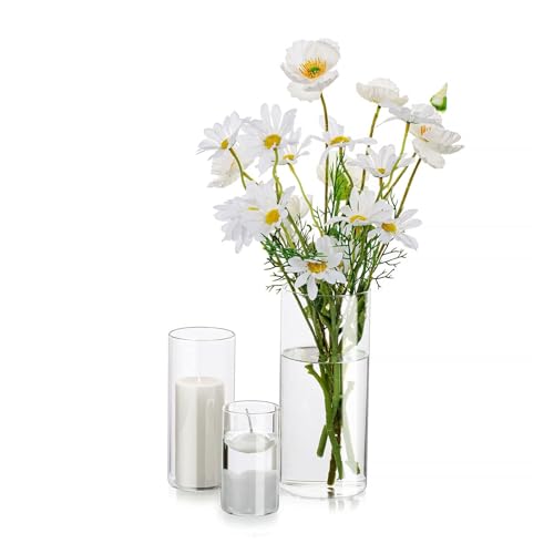 Deko Vase Glas Zylinder Tischdeko: Glasseam 3 Stück/Satz Blumen Vasen Set Modern Glasvase Rund Glaszylinder Blumenvase Tulpenvase Tischvase Fuer Hochzeit Wohnzimmer Tulpen Rose, 10/15/20cm Hoch von Glasseam