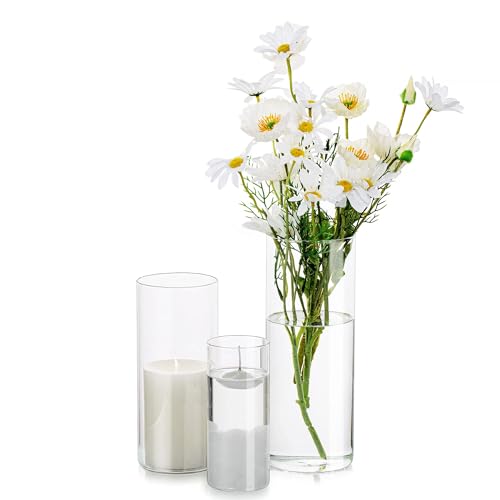 Glasseam Deko Vase Glas Zylinder Tischdeko 3 Stück/Satz Blumen Vasen Set Modern Glasvase Rund Glaszylinder Blumenvase Tulpenvase Tischvase Fuer Hochzeit Wohnzimmer Tulpen Rose, 15/20/25cm Hoch von Glasseam