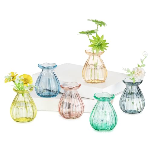 Glasseam Glas Kleine Vasen für Tischdeko: 6 Stück Bunte Vase Klein für Home Wohnzimmer Party Hochzeit Tisch Deko - Aesthetic Blumenvase Modern für Blumen Bud Pflanzen von Glasseam