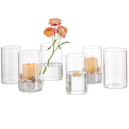 Glasseam Glas Vase Kleine Vasen für Tischdeko, Schöne Blumenvasen Set 6 Stück, 15cm Tulpenvase Glas Vasen Deko, Klar Blumen Vase Modern Kerzenhalter Zylinderglas Dekovasen für Hochzeit Wohnzimmer von Glasseam