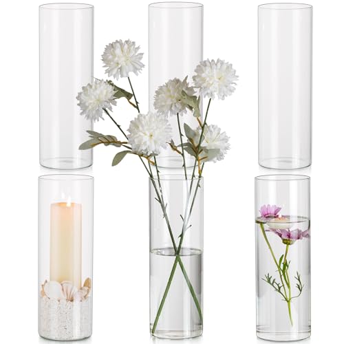 Glasseam Glasvase Blumen Vase, Zylindervasen Glas Vase Durchsichtig 6 Stück, 25 x 8,5 cm Tulpen Vase Hohe Vase Modern Blumenvase Glas Vasen Deko, Minimalistische Tischvase Kerzenständer für Hochzeit von Glasseam