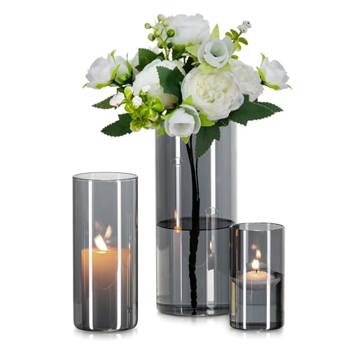 Glasseam Glasvase Zylinder Vase Grau: 3 Stück Glas Vasen Set für Wohnzimmer Deko Glaszylinder Windlicht - Runde Blumenvase Modern Glasvasen für Tischdeko Tulpen Pampasgras (10/15/20cm) von Glasseam
