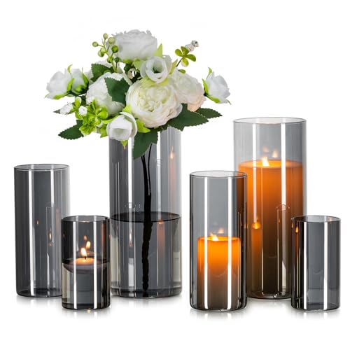 Glasseam Glasvase Zylinder Vase Grau: 6 Stück Glas Vasen Set für Wohnzimmer Deko Glaszylinder Windlicht - Runde Blumenvase Modern Glasvasen für Tischdeko Tulpen Pampasgras (10/15/20cm) von Glasseam