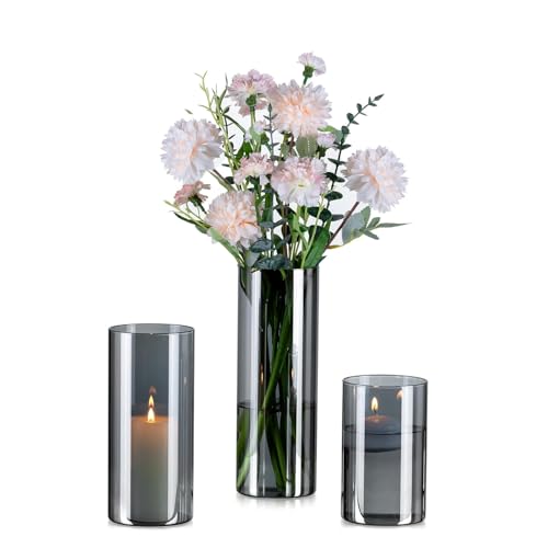 Glasseam Glasvase Zylinder Vase für Deko: 3 Stück Grau Vasen Glas für Home Wohnzimmer Küche Esstisch Tischdeko - Glaszylinder Blumenvase Modern Dekoration für Blumen Pampasgras Tulpen Rosen von Glasseam