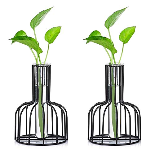 2 Stück Mini Vasen Set Glas Vase Schwarz Kleine Vasen Für Tischdeko Blumenvase Modern Bud Hydroponic Glasvase Reagenzgläser Für Blumen Hochzeit Wohnzimmer Deko Tablett Tisch Bad Dekoration von Glasseam