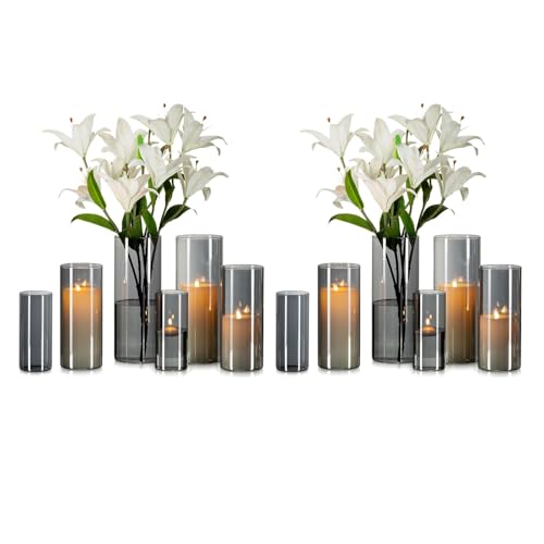 Glasseam Grau Glasvase Zylinder Vase Rund: 12er Moderne Glasvasen Set für Wohnzimmer Tischdeko - Anthrazit Große Vasen Glas Tulpen Rose Zylindervasen Windlicht für Stumpenkerzen (15/20/25cm) von Glasseam