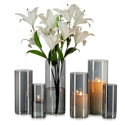 Glasseam Grau Glasvase Zylinder Vase Rund: 6er Moderne Glasvasen Set für Wohnzimmer Tischdeko - Anthrazit Große Vasen Glas Tulpen Rose Zylindervasen Windlicht für Stumpenkerzen (15/20/25cm) von Glasseam