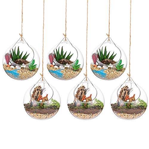 Hängende Glaskugel Vase Glaskugel 6 Pcs Große Öffnung Sukkulenten Aufhängen Terrarium Glas Flower Air Pflanzgefäß Container 4 Inches für Home Party Hochzeitsgarten DIY Desig von Glasseam