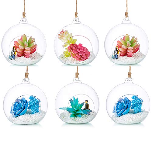 Hängende Glaskugel Vase Glaskugel 6 Pcs Große Öffnung Sukkulenten Aufhängen Terrarium Glas Flower Air Pflanzgefäß Container 4.72 Inches für Home Party Hochzeitsgarten DIY Desig von Glasseam