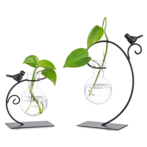 Glasseam Hydroponic Vase Glas, Propagation Station Vasen Set 2er, Blumenvase Modern mit Kreativem Vogel Metallständer, Pflanzen Terrarium Kleine Glasvasen für Tischdeko Wohnzimmer Garten Küche Büro von Glasseam