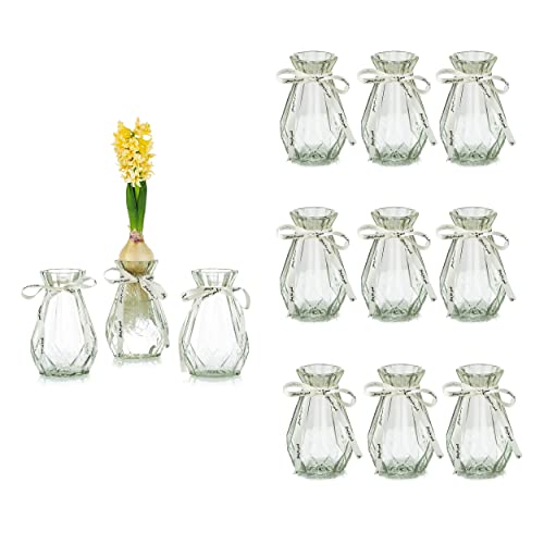 Glasseam Klarglasvasen für Blumen mit Seidenseil, 12 Stück Moderne Hyazinthenvasen Bud Avocado Vase Edelwickenvase für Hydroponikpflanzen Narzissen Orchideen für Desktop-Tisch Innenfensterbank Dekor von Glasseam