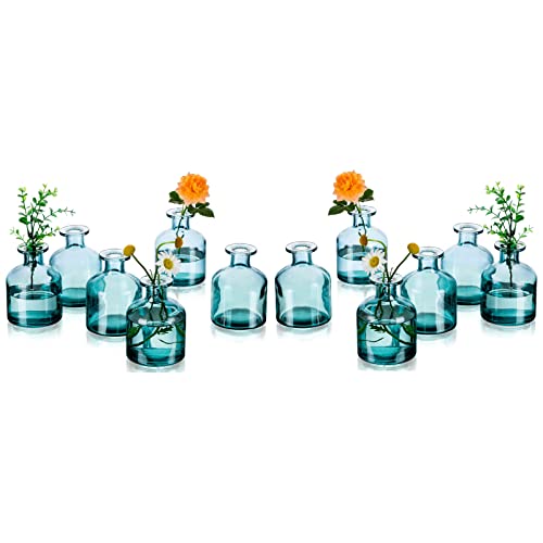 Glasseam Kleine Blumenvase Glas Modern: 12er Dunkelgruen Mini Vasen Set Glasvase Tischdeko Boho Rund Vase Schmal Deko Flaschen Pampasgras Tischvase Rose Vasenset Hochzeit Dekogl채ser Baddekorationen von Glasseam