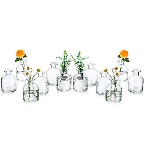 Glasseam Kleine Blumenvase Glas Modern: 12er Durchsichtig Mini Vasen Set Glasvase Tischdeko Boho Rund Vase Schmal Deko Flaschen Pampasgras Tischvase Rose Vasenset Hochzeit Dekogl채ser Baddekorationen von Glasseam