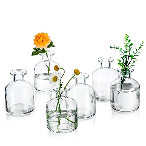 Glasseam Kleine Blumenvase Glas Modern: 6er Durchsichtig Mini Vasen Set Glasvase Tischdeko Boho Rund Vase Schmal Deko Flaschen Pampasgras Tischvase Rose Vasenset Hochzeit Dekogl채ser Baddekorationen von Glasseam