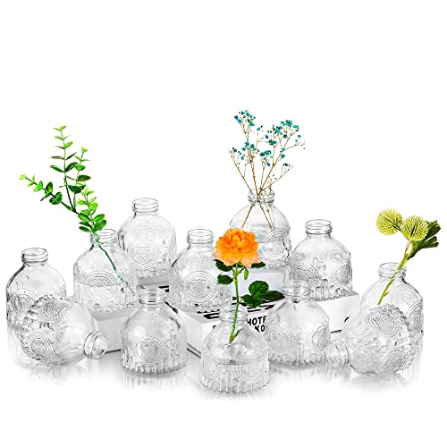 Glasseam Kleine Blumenvase Kristallglas Vintage Glasvasen, 12er Klar Mini Vasen Set Einzelne Blume Vase Glas Deko Flaschenvase Rosenvase Modern für Hochzeit Tischdeko Wohnzimmer Badezimmer, Höhe 9cm von Glasseam